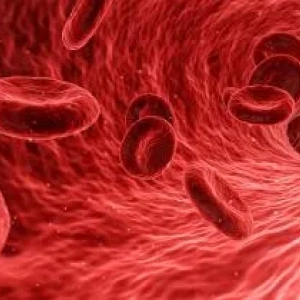 Як визначити внутрішню кровотечу? Види кровотеч і способи їх зупинки