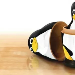 Linux: плюси і мінуси, опис, особливості установки
