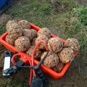 Ловля на ляща на волзі. Коли найкраще ловити рибу: способи і рекомендації