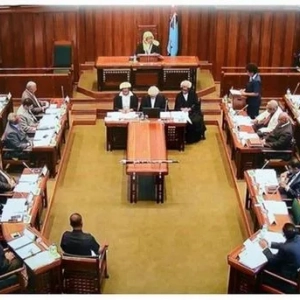 Однопалатний парламент: особливості, переваги та недоліки