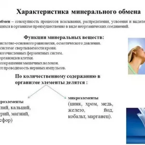 Особливості мінерального обміну: визначення, опис і цікаві факти