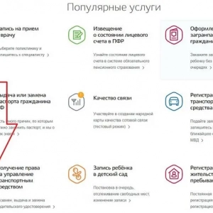 Заміна водійського посвідчення у зв'язку з втратою: порядок дій, необхідні документи
